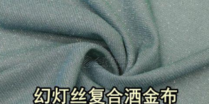 Glittery fabrics (how about magic filament composite sprinkling gold cloth)