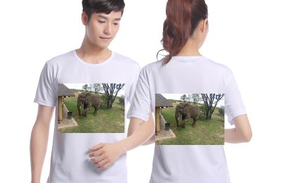 Can T-shirts be customized (Eco-friendly T-shirt customization makes our sky bluer and the environment more beautiful)