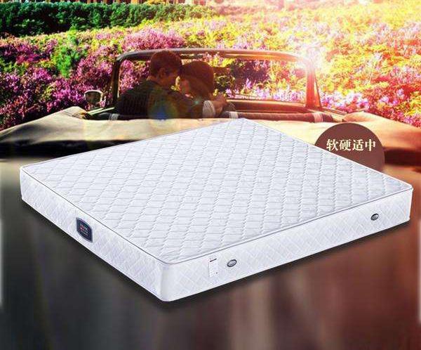 Golden Seahorse Mattress